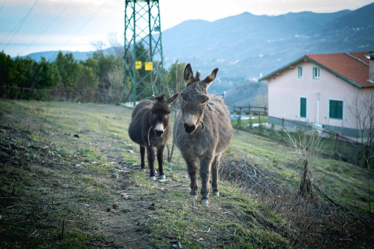 Agriturismo Terra E Cielo Serra Ricco ภายนอก รูปภาพ