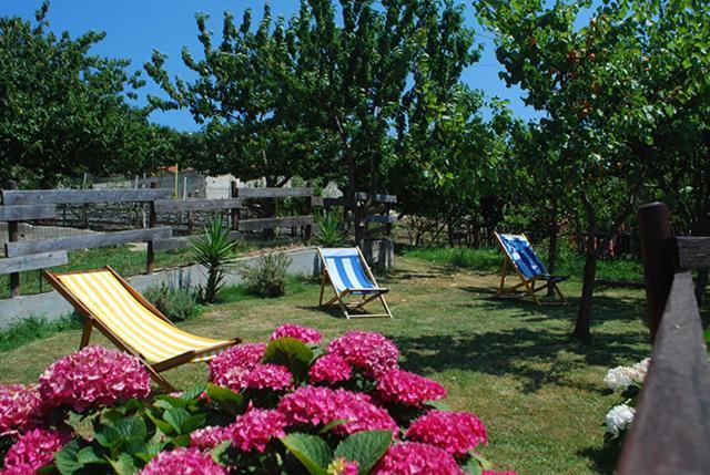 Agriturismo Terra E Cielo Serra Ricco ภายนอก รูปภาพ